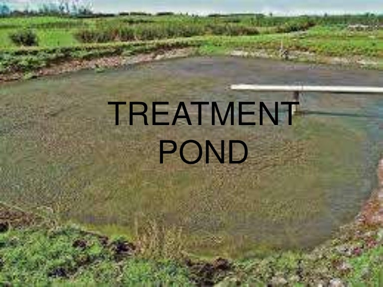 Treatment Pond