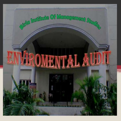 Enviromental audit final