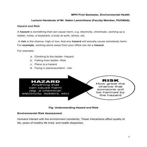 Enviromental risk assessment