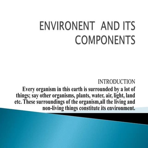 Environent  and its components