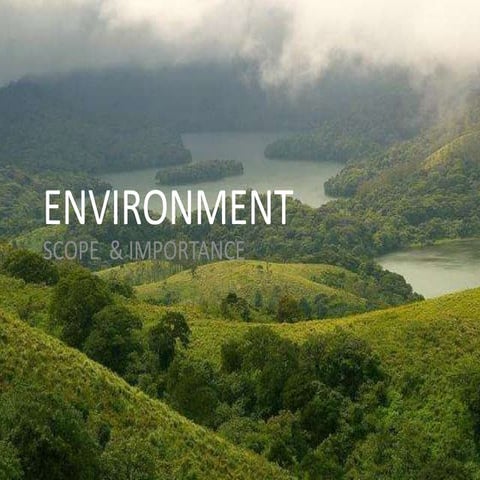 Environment