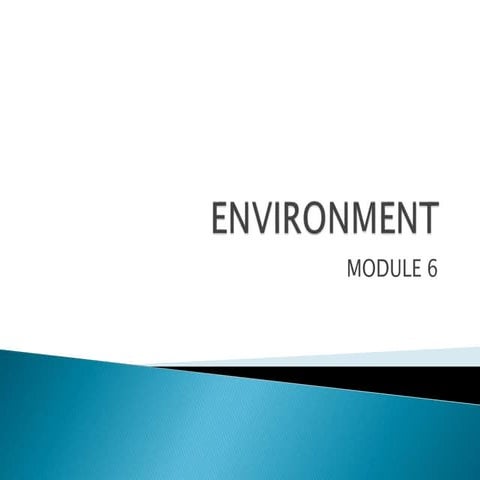 Environment | PPTX