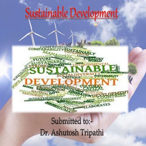 sustainable development 