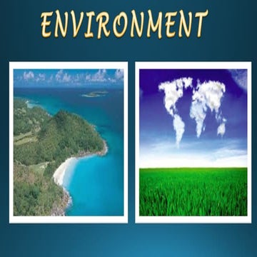 Environment | PPT