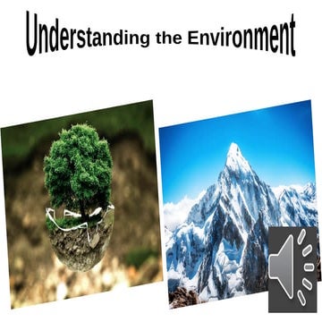 Overview of Environment its components..
