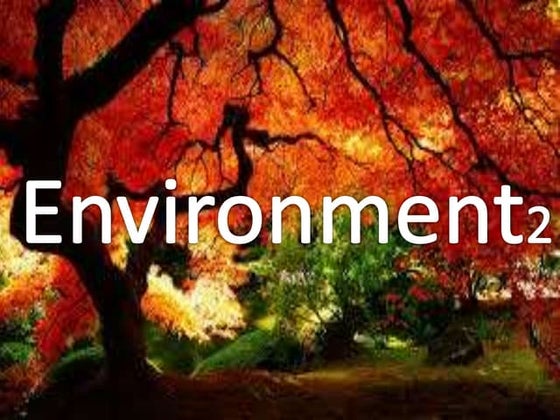 Environment2