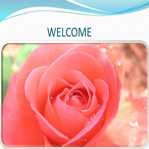 Environmental audit shifas ibrahim