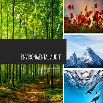 Environmental Audit