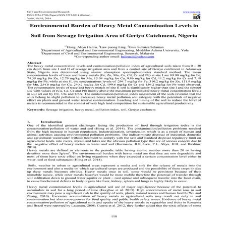Environmental burden of heavy metal contamination levels (zikai wang 的冲突副本 20...