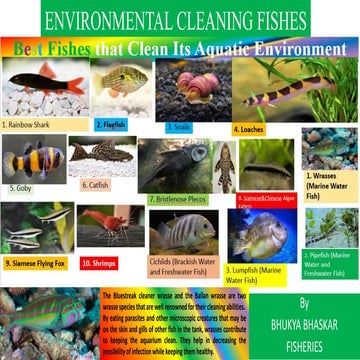 Aquatic Environment cleaning major fishes by B