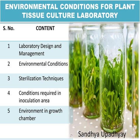 Environmental conditions for plant tissue culture laboratory