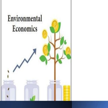 Environmental Economics and Environmental Management Systems