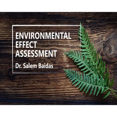 Environmental Effect Assessment   