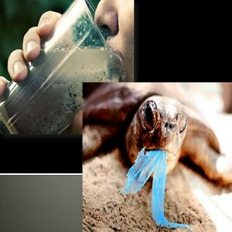 Environmental engineering lec 1