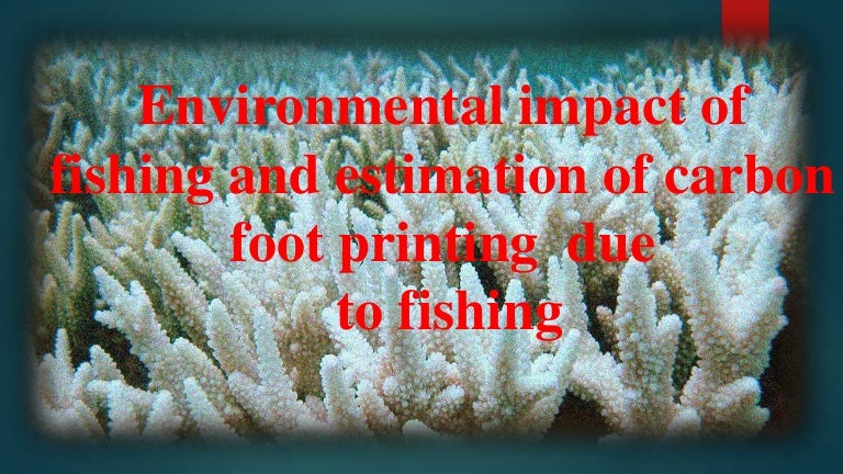 Environmental impact of fishing and carbon footprinting due to fishing