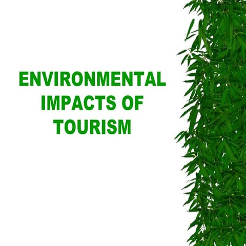 Environmental impact of tourism