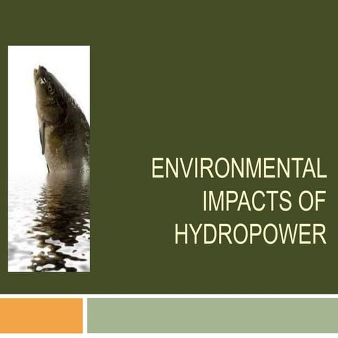 Environmental impacts of hydroelectric power
