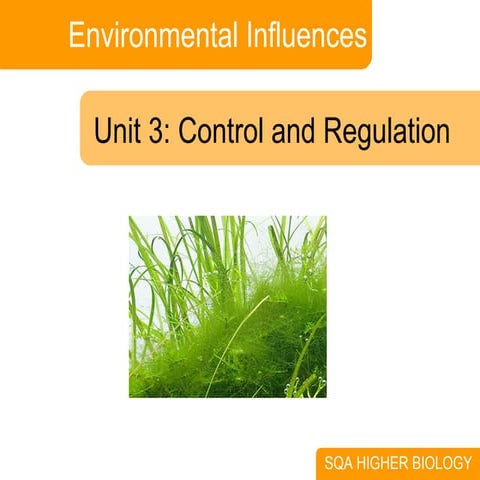 Environmental Influences