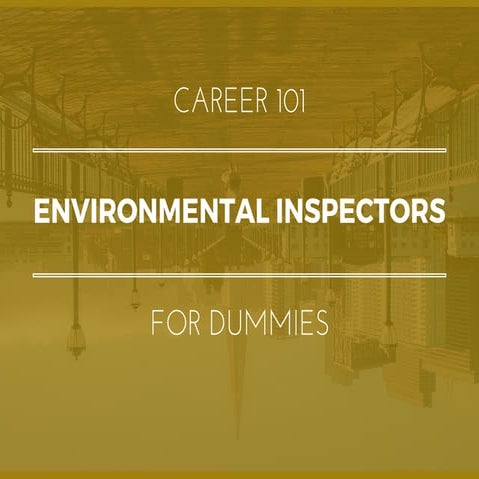 Environmental Inspectors for Dummies | What You Need To Know In 15 Slides