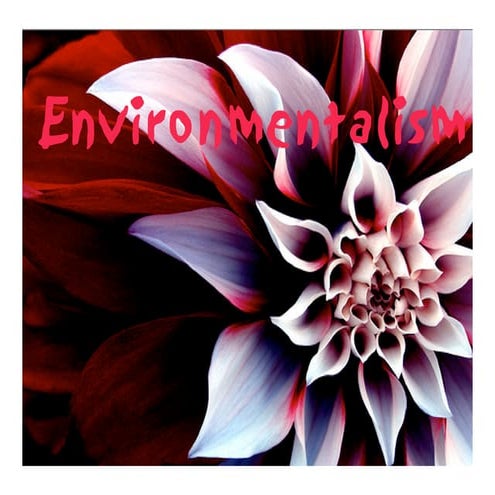 Environmentalism Presentation
