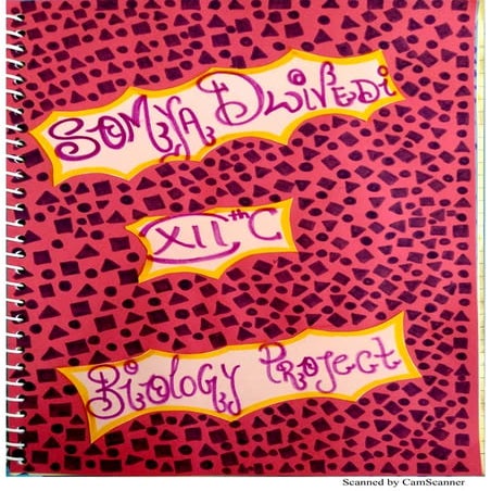 Environmental Issues Biology Investigatory Project