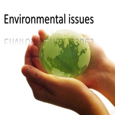 Environmental issues 