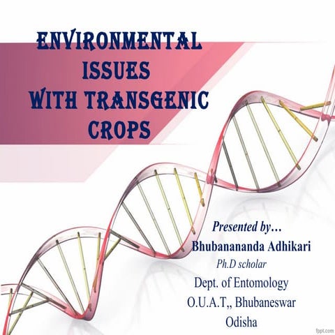 Environmental issues associated with transgenics