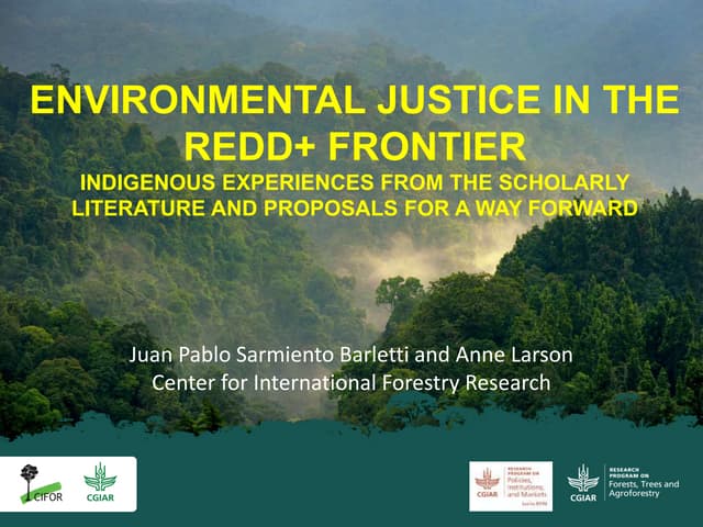 Environmental justice in the redd+ frontier