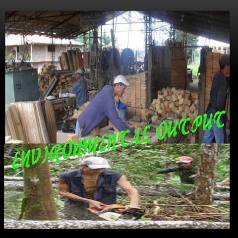 Environmental management