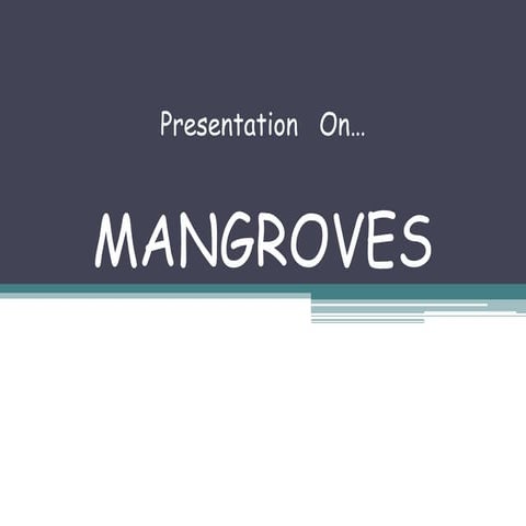 Environmental management ppt