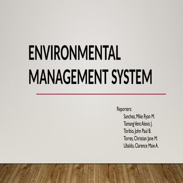 Environmental Management System Engineering Economics