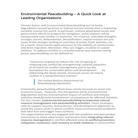 Environmental peacebuilding – a quick look at leading organizations