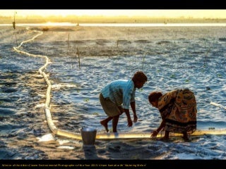 Environmental Photographer of the Year 2015: Winners and Finalists