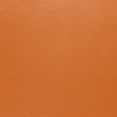 Environmental problems