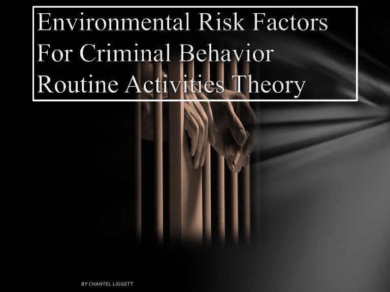 Environmental risk factors for criminal behavior 7