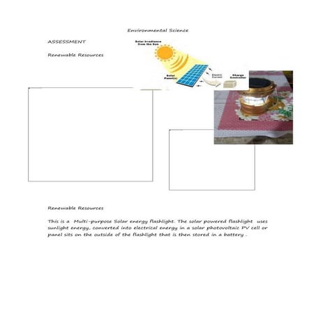 Environmental Science Reflection.docx