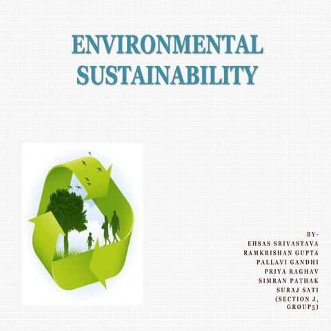 Environmental Sustainability 