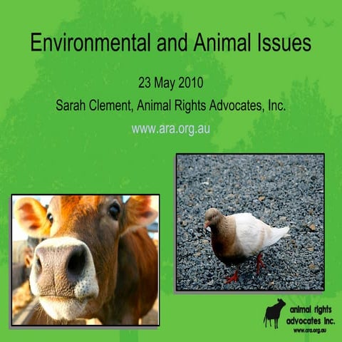 Environment and Animal Rights Presentation