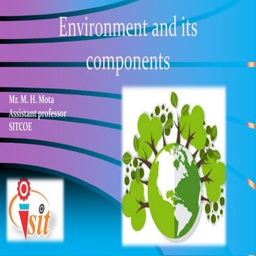 Environment and its components