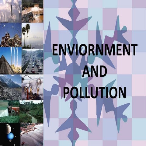 Environment and pollution