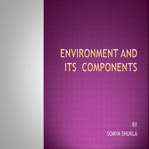 Environment and their components