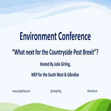 Environment conference presentation by Julie Girling, MEP