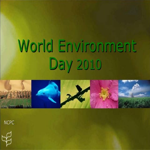 World Environment Day, 2010