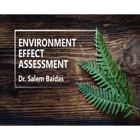 Environment Effect Assessment   