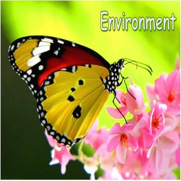 Environmental Pollution