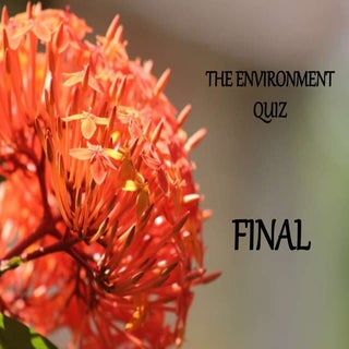 Environment final