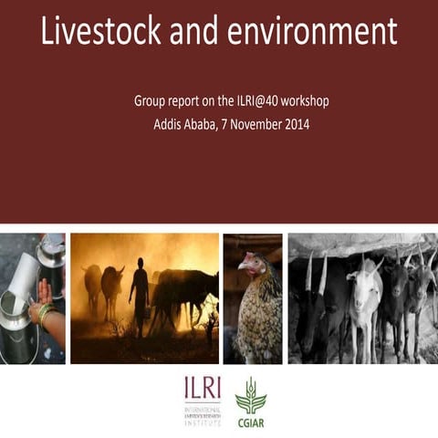 Livestock and environment: Group report on the ILRI@40 workshop Addis Ababa, ...