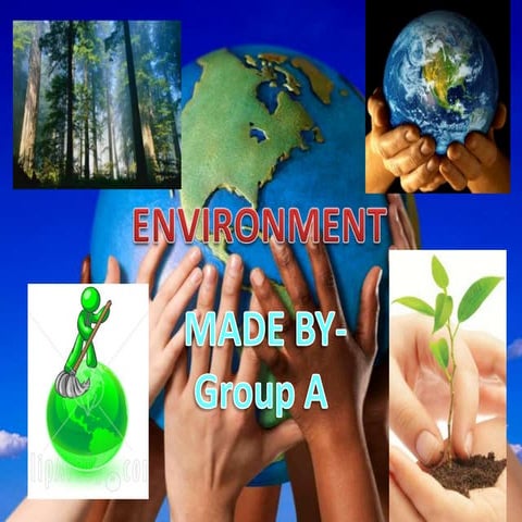 Environmental problems