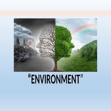 environment, its components,and impact  in CHN