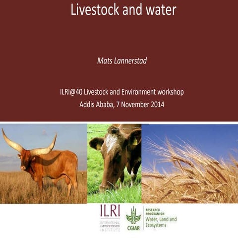 Livestock and water